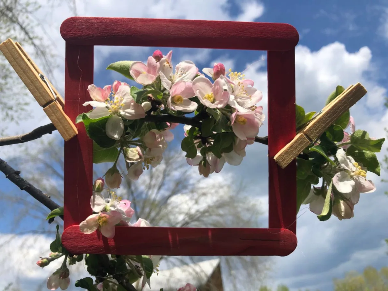 Framing Nature care of Jacob Rodenburg